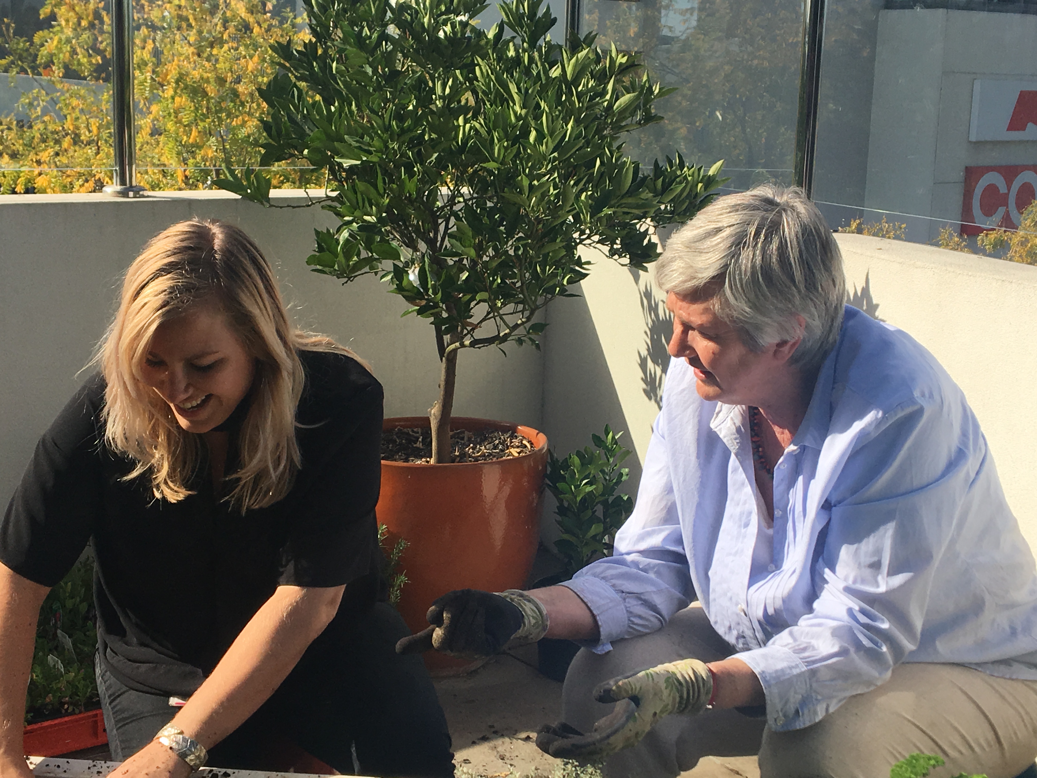 A Gardening Australia makeover at McAuley House McAuley Community Services for Women