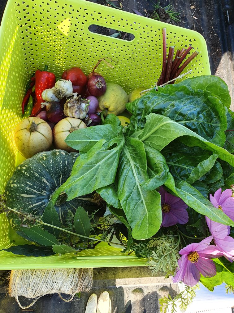 Food 4 Life McAuley Community Services for Women